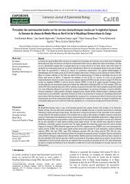 Image result for Leptonychia tokana