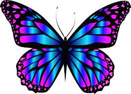Download Clipart Butterflies Free Purple Butterfly Png Download Full Size Clipart 5654997 Pinclipart
