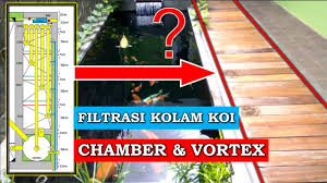 Kolam ikan koi ini bisa dibangun dimana saja, baik itu di. Istilah Penting Dan Komposisi Filter Kolam Koi Air Jernih Ikan Koi Kigoi Youtube
