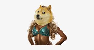 With tenor, maker of gif keyboard, add popular doge animated gifs to your conversations. Hot Anime Doge Love You Doge Meme Png Image Transparent Png Free Download On Seekpng