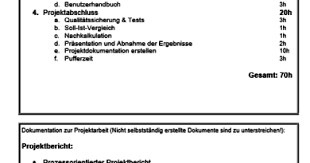 Die vorlage wurde so gestaltet, dass alle wichtigen punkte enthalten sind. Kein Risiko Bei Der Prasentationsprufung Und Dem Fachgesprach Zum Fachinformatiker