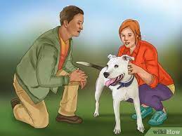 Maybe you would like to learn more about one of these? 3 Ways To Adopt A Service Dog Wikihow