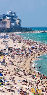 Home to all things miami, florida ️ do you have any pictures you want us to post? Miami Beach Vacation Rentals On Itrip Net Miami Beach Florida Travel Florida