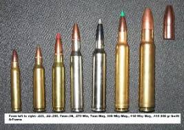 Rigorous Bullets Caliber Chart Rifle Cartridge Sizes Calibre