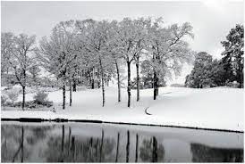 Snow The Cascades Tyler Tx Texas Places Winter Trees Cascade