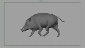 Wild Boar Cycle Animated Animals Wild Boar Science Fiction Art Retro