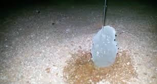 شاهد تجمد المياه عند سكبها على العقرب صحيفة المواطن الإلكترونية