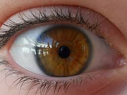 Top 10 Rarest Eye Colors Most Rare Eye Color In Humans Www Imgkid Com The Image Kid Has It Rare Eye Colors Hazel Green Eyes Aesthetic Eyes