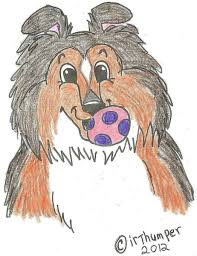 Sheltie Cartoon Drawing Cartoon Drawings Drawings Sheltie Here are ten things you might not know about the breed. sheltie cartoon drawing cartoon