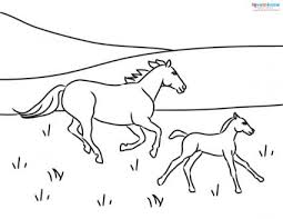 Coloring educational coloring family, people and jobs coloring fantasy and medieval coloring holidays and season coloring miscellaneous coloring nature and food coloring religious coloring sports coloring animal coloring pages for kids. Mother And Baby Horse Coloring Pages