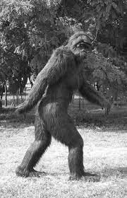 Bigfoot Blank Template Imgflip