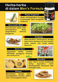 Air Mani 7 Cara Memekatnya Supaya Anda Boleh Pancut Lebih Deras