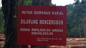 Maybe you would like to learn more about one of these? Going That Extra Mile To Save The Kuala Langat Forest Reserve