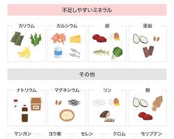ミネラル豊富な食事のイメージの画像