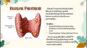Resep sayur lodeh jogja / resep sayur asem khas jawa dengan bumbu spesial : Anatomi Fisiologi Sistem Endokrin Stia Malang Youtube