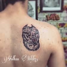 Tattoos Pitbull Calismamiz Iletisim 05386366787 Tattoo Jv
