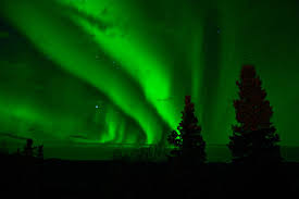 Green Aesthetics On Tumblr Dark green aesthetic rainbow aesthetic aesthetic colors aesthetic collage green aesthetic tumblr aesthetic makeup iphone wallpaper tumblr aesthetic aesthetic wallpapers photo wall collage. green aesthetics on tumblr