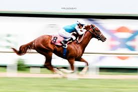 Drive Joy "barrió" a sus rivales El reservado del Firmamento ratificó su  gran debut y se impuso entre los potrillos de 2 años. Adrián Giannetti y  Carlos Daniel Etchechoury, los profesionales del