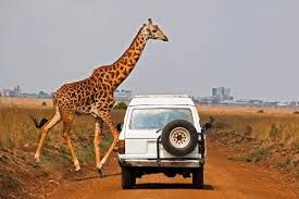 The world bank's work in kenya supports the government's vision 2030 development strategy, which aims to accelerate sustainable growth, reduce inequality, and manage resource scarcity. Beste Reisezeit Kenia Klima Im Hochland Und An Der Kuste