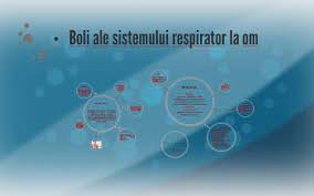 Boli ale dinților și ale cavității bucale; Boli Ale Sistemului Respirator By Stefanescu Daiana