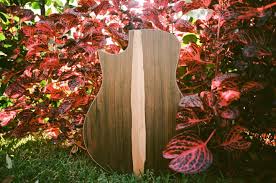 Image result for Diospyros crassiflora