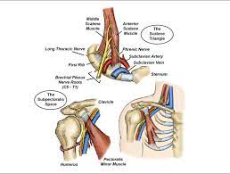 Thoracic Outlet Tests