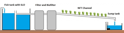 Nft Aquaponics A Viable Option Howtoaquaponic