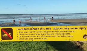 Things To Do In Cairns Australia Crocodiles The Travel Tart Blog Cairns Australia Australia Travel Things To Do