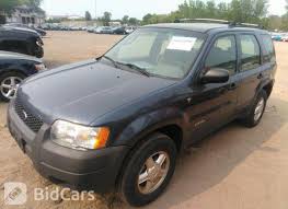 Image result for Evening Black 2001 Escape