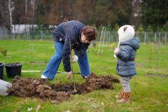 So kann es sein, dass das bundesrecht es zwar gestattet, auch im sommer einen baum zu fällen, die örtliche satzung. Baume Fallen Auf Dem Privatgrundstuck Darf Man Das