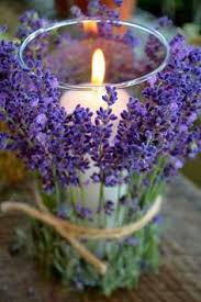 Flowerweb is a free news portal for the international floriculture industry. 11 ×¢××¦××' ×¤×¨××× Ideas Table Decorations Blue Wedding Inspiration Christmas Berries
