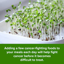 Eat To Defeat Cancer 7 Steps For Fighting Cancer Every Day