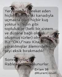 Beyza Zapsu Adli Kullanicinin Sufism Panosundaki Pin Kitap Okuma