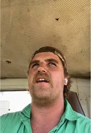 This is not the town truck btw #farming #trucking #nhvr #truck #t909  #kenworth #funny #logbook