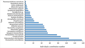 Image result for Millettia eetveldeana