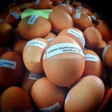 Terjemahan untuk 'batu karang' dalam kamus bahasa inggris gratis dan banyak terjemahan bahasa inggris lainnya. Photos At Gereja Batu Karang Ciracas Jakarta Jakarta