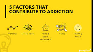 Drug Alcohol Addiction What Are The Factors That Play A Role