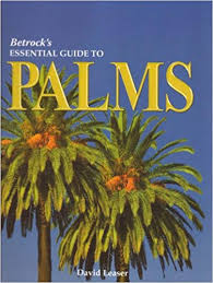 Betrocks Essential Guide To Palms David Leaser