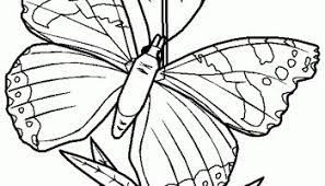  Erenssuna Erenssuna Profile Pinterest