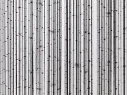 نتیجه جستجوی لغت [impenetrable] در گوگل