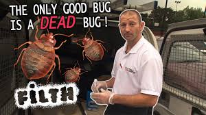 The office sales pest control over the phone.in october. Top Ingredients For Natural Pest Control