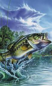 Maybe you would like to learn more about one of these? Download Bass Fish Wallpapers Phone Na36 Desktop Background