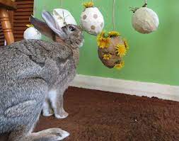 Homemade Pinata Rabbit Toy Diy Bunny Toys Pet Bunny Homemade Rabbit Toys