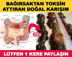 Bagirsaklarinizdan Kilolarca Toksin Cikartan Karisim Aslinda Obez Veya Fazla Kilolu Olmayan Kisiler De Bile Bagirsakl Alerjik Rinit Kilo Saglikli Yasam Tarzi