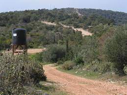Αθηναγόρας προκειμένου να προβεί σε αυτοψία στη νέα πυρκαγιά που ξεκίνησε στα άνω λιόσια. Wikiloc Picture Of Attikh Poikilo Oros Boreia 2 6