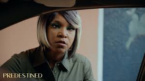 Predestined (TV Mini Series 2020– )