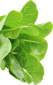 Maybe you would like to learn more about one of these? Destin Grocery Delivery Destin Florida