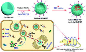 How bacteria produce manganese oxide nanoparticles. Biodegradable Hollow Manganese Cobalt Oxide Nanoparticles For Tumor Theranostics Nanoscale Rsc Publishing
