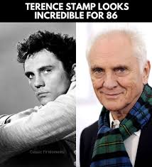 Terence Stamp has been a commanding presence