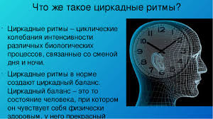 Циркадный ритм — это естественный процесс, который происходит в течение всего дня. Prezentaciya Na Temu Issledovanie Cirkadnyh Ritmov I Cikla Son Bodrstvovanie U Cheloveka